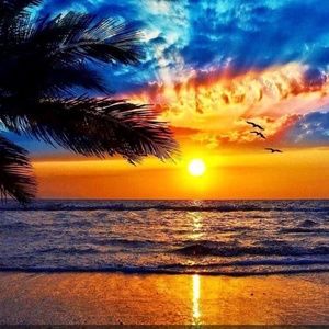 Meet your Posher, Лена